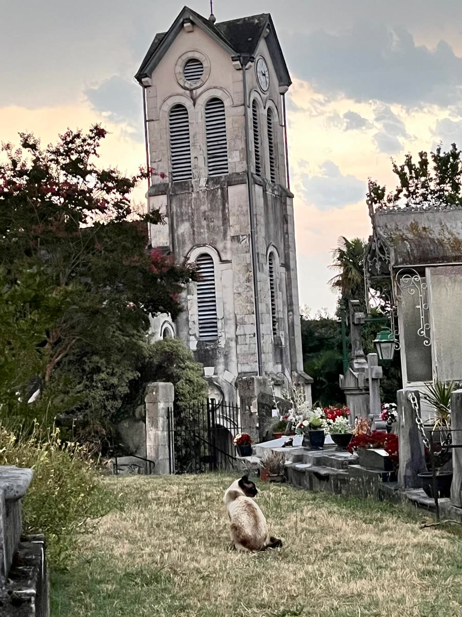 Le clocher de l'église Saint-Laurent vu depuis le cimetière fleuri, au soleil couchant